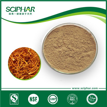 Cordyceps Sinensis fruiting body Cordyceps Sinensis fruiting body