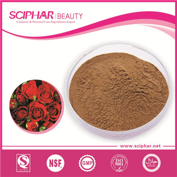 Rose Extract Rose Extract