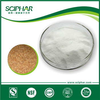 <b>Glucosamine Hydrochloride</b> <b>Glucosamine Hydrochloride</b>