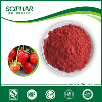 草莓營(yíng)養(yǎng)莓粉 