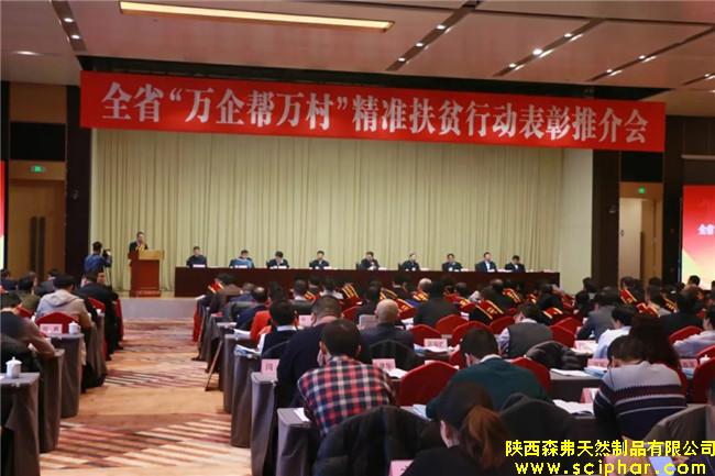 陜西森弗榮獲全省“萬企幫萬村”精準(zhǔn)扶貧行動先進(jìn)民營企業(yè)