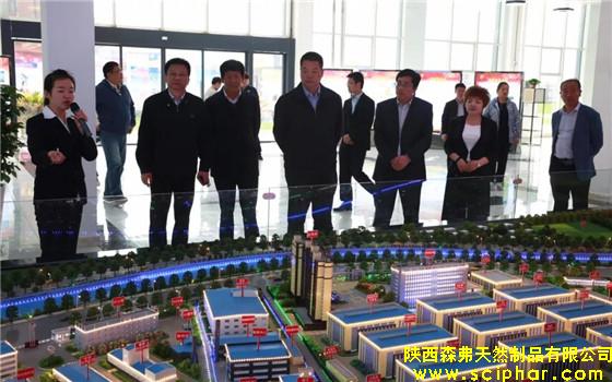 南京市棲霞區(qū)人大常委會主任陳潑帶團考察森弗產(chǎn)業(yè)園蘇陜扶貧協(xié)作項目