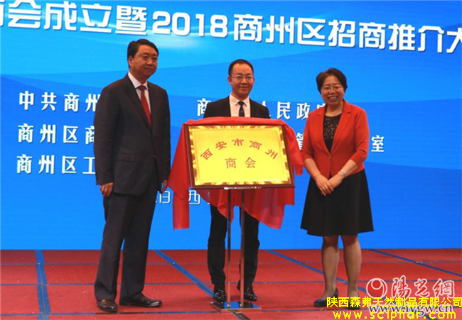 森弗集團(tuán)董事長金新康當(dāng)選首屆西安市商州商會(huì)會(huì)長