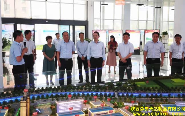 陜西省委常委、省紀(jì)委書(shū)記王興寧蒞臨森弗健康養(yǎng)生產(chǎn)業(yè)園調(diào)研企業(yè)發(fā)展情況