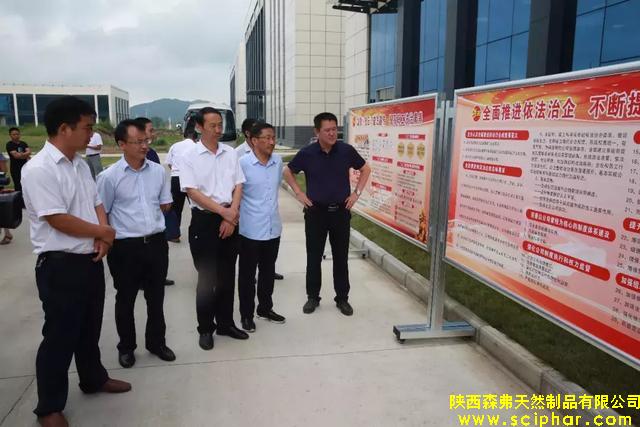 商洛市＂七五”普法督察組調(diào)研森弗公司依法治企工作情況