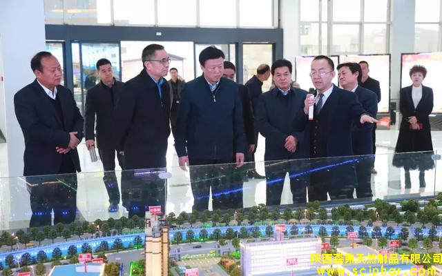 陜西省藥品監(jiān)督管理局副局長(zhǎng)應(yīng)宏鋒一行調(diào)研森弗公司藥品生產(chǎn)情況