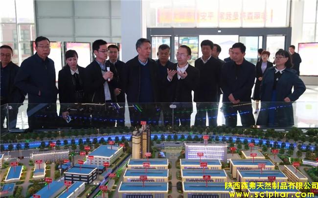 陜西省商務(wù)廳紀檢組組長胡仁喜一行調(diào)研森弗公司內(nèi)外貿(mào)工作情況