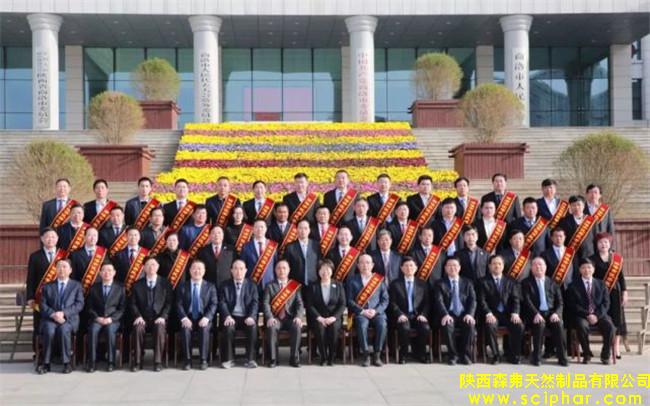 陜西森弗被評(píng)為“商洛市優(yōu)秀民營(yíng)企業(yè)”，董事長(zhǎng)金新康榮獲“商洛市優(yōu)秀民營(yíng)企業(yè)家”稱號(hào)