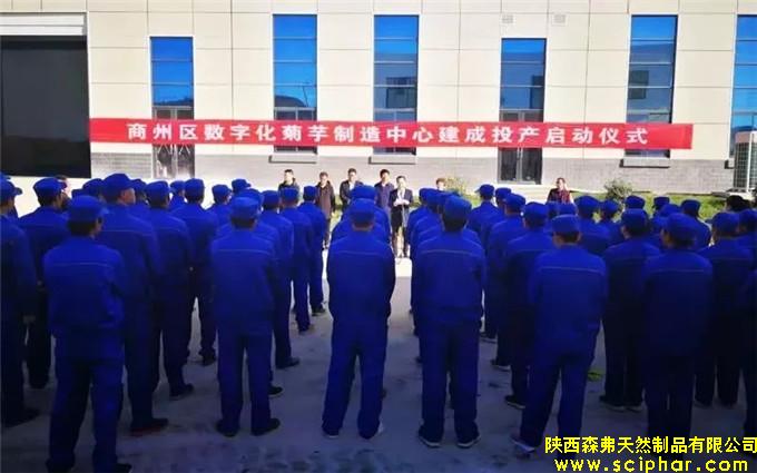 熱烈祝賀全國(guó)最大的數(shù)字化益生元（菊芋）制造中心在商州建成投產(chǎn)