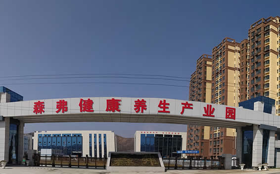 陜西森弗集團董事長金新康